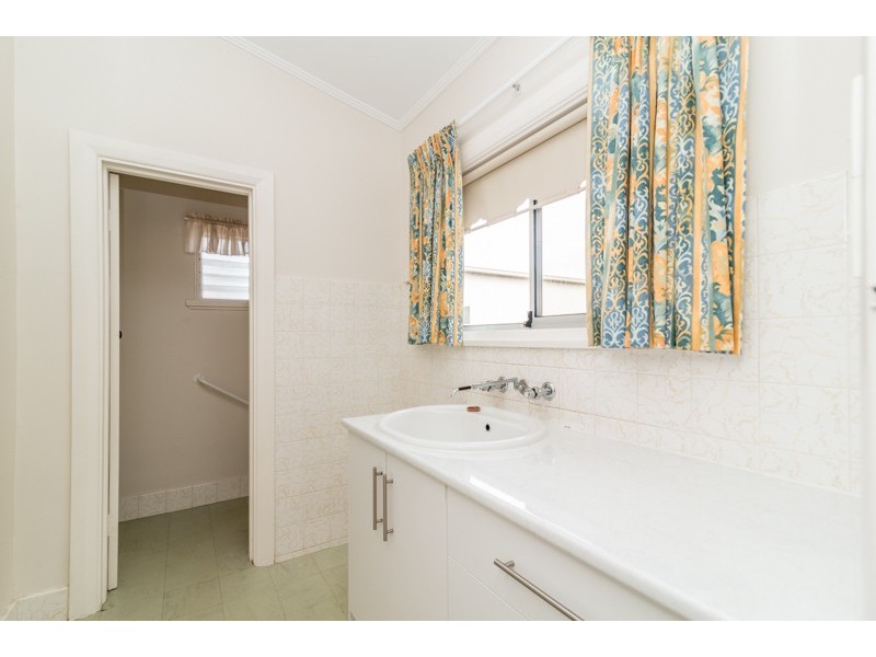 CHARACTER CUTIE, Richmond SA 5033