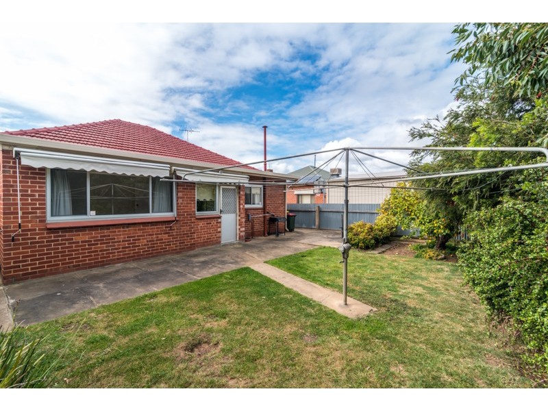 CHARACTER CUTIE, Richmond SA 5033