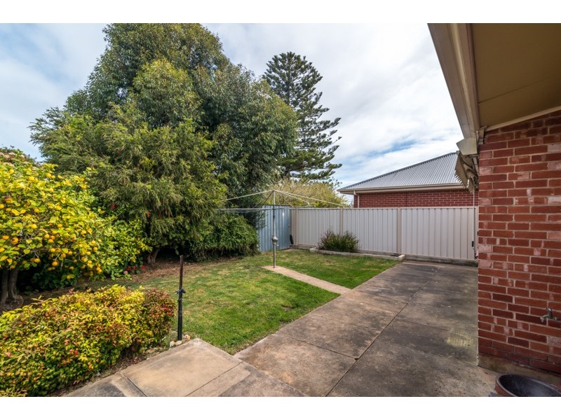 CHARACTER CUTIE, Richmond SA 5033