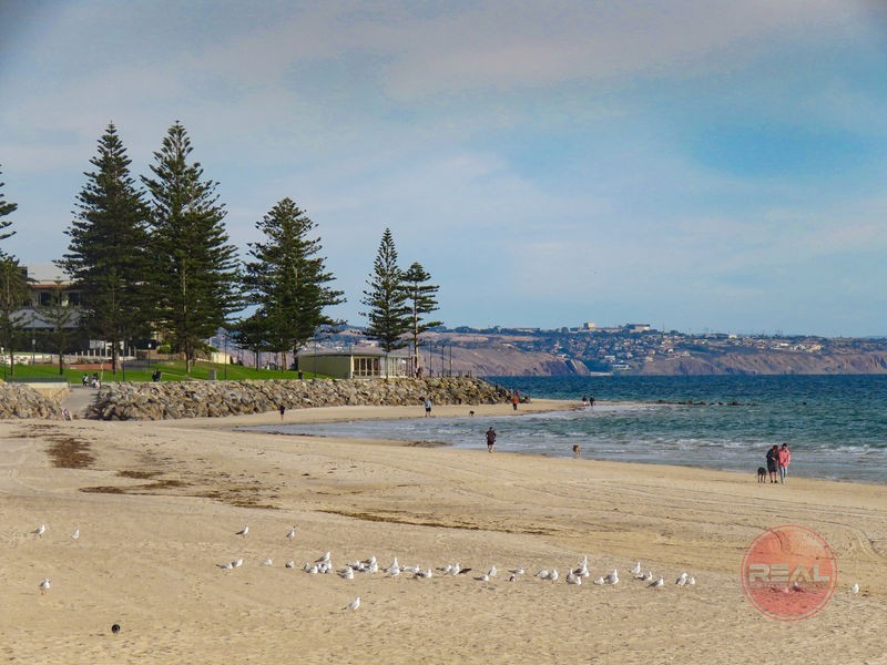 2G Gosse Avenue, Glenelg North SA 5045