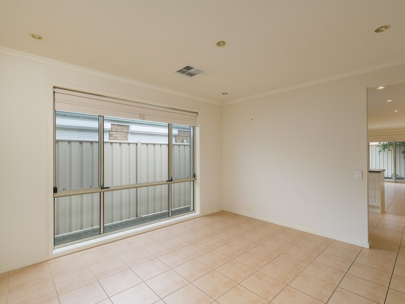 4 Newberry Ave, Morphettville SA 5043