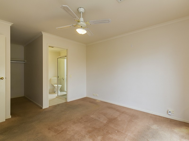 4 Newberry Ave, Morphettville SA 5043