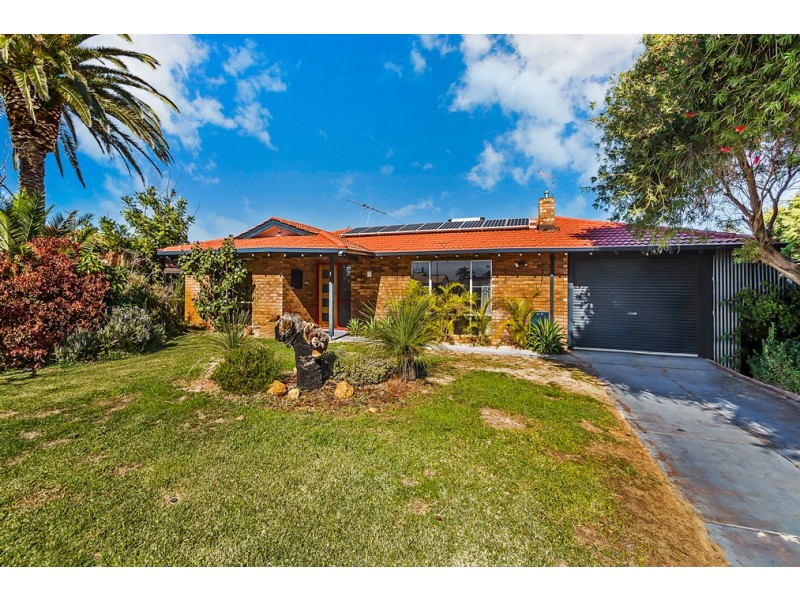 7 Buckle Court, Waikiki WA 6169