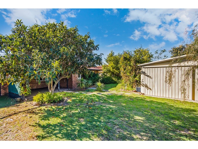 7 Buckle Court, Waikiki WA 6169