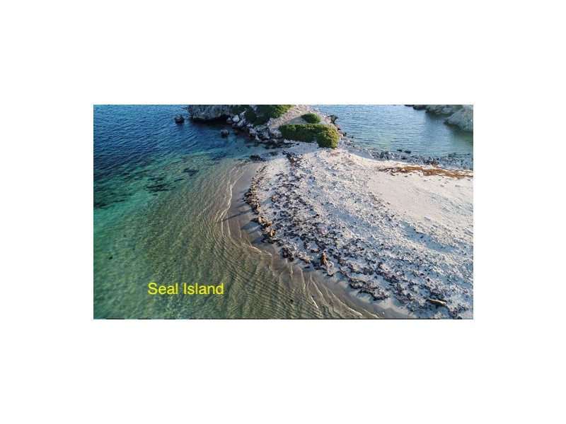 109 Seabrooke Avenue, Rockingham WA 6168