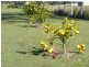 31 Erin Drive, Curra QLD 4570