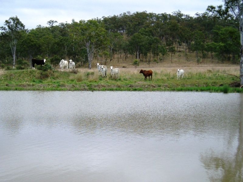 Windera QLD 4605