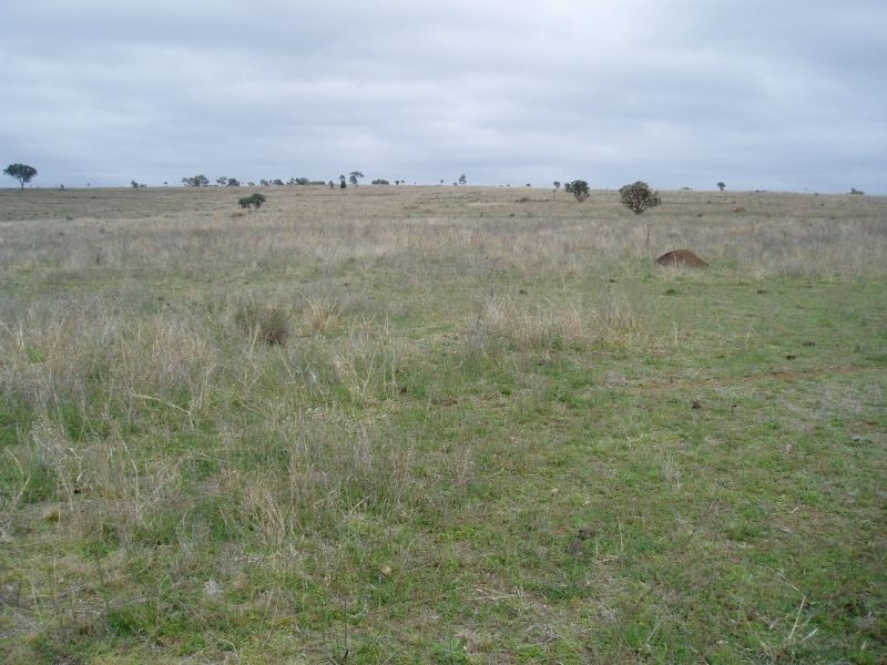 Windera QLD 4605