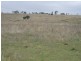 Windera QLD 4605