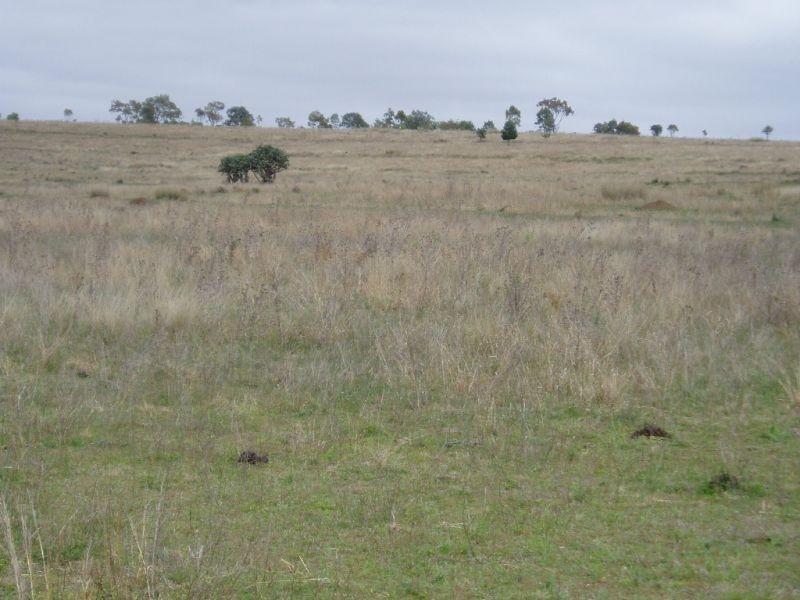 Windera QLD 4605