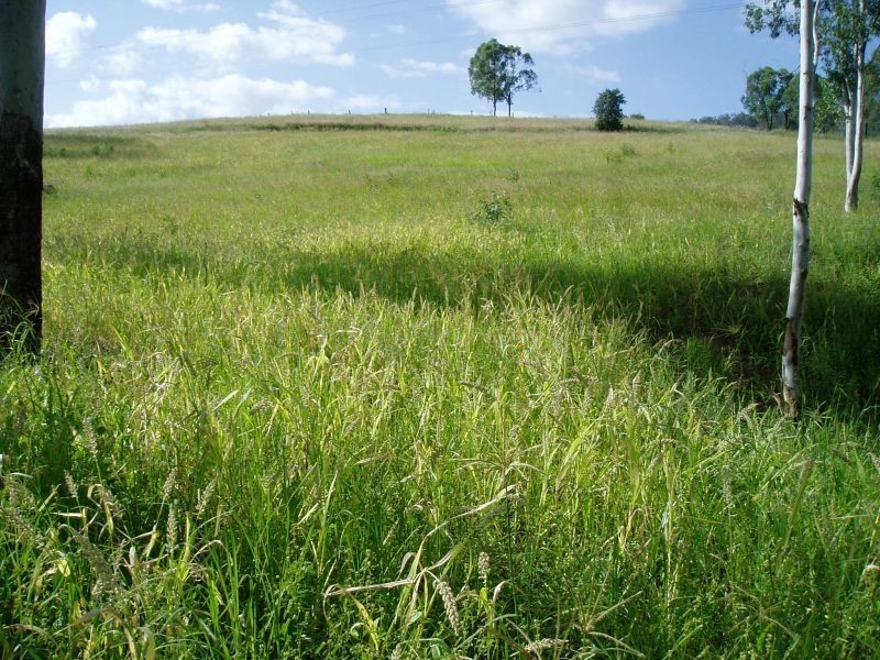 Glastonbury QLD 4570