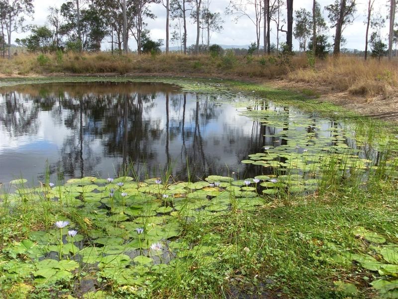 55 Jamie Avenue, Curra QLD 4570