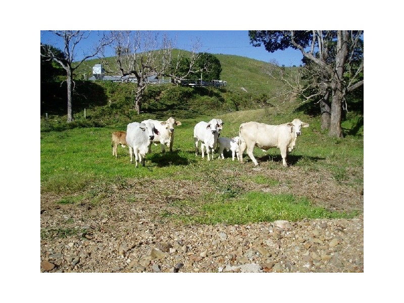 Pomona QLD 4568