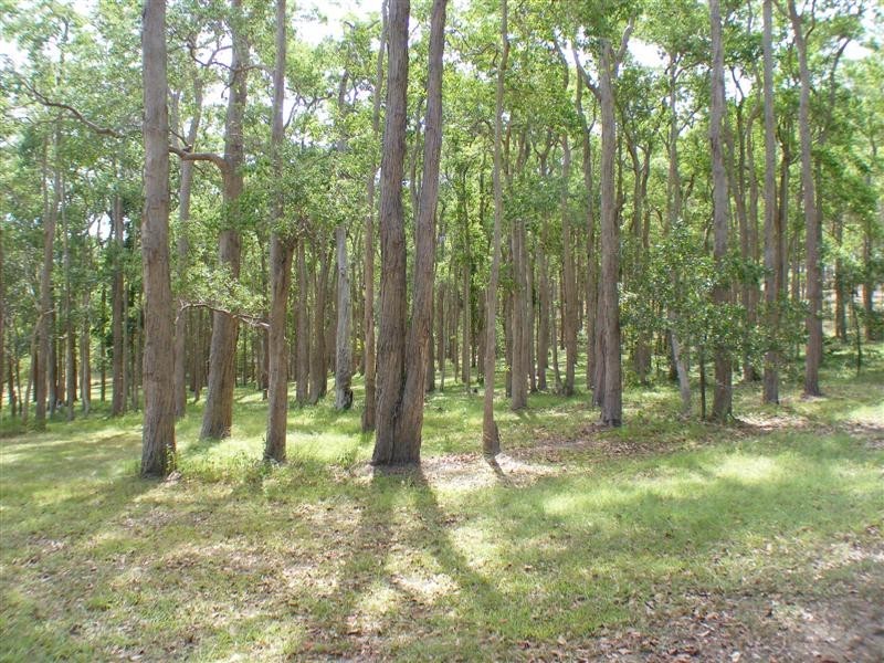 90 Rocky Ridge Road, Veteran QLD 4570