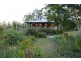 113 Green Trees Road, Pie Creek QLD 4570