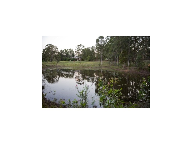 113 Green Trees Road, Pie Creek QLD 4570