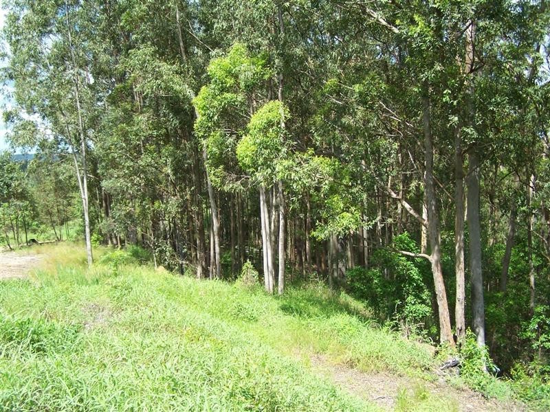 Cedar Pocket QLD 4570