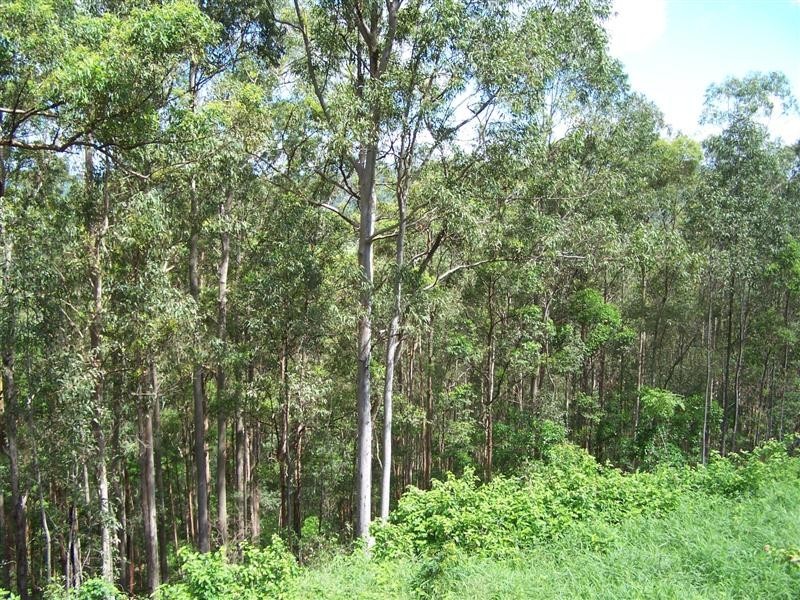Cedar Pocket QLD 4570