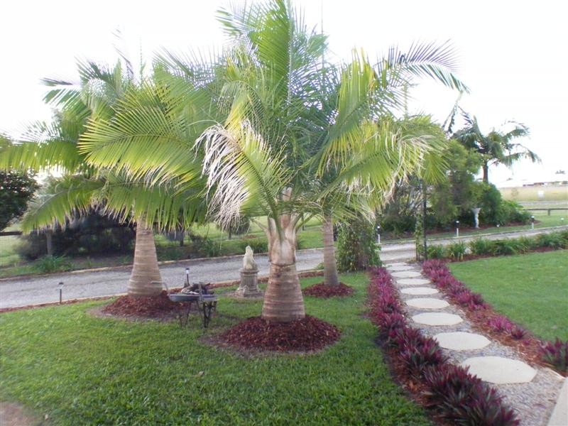 130 Investigator Ave, Cooloola Cove QLD 4580