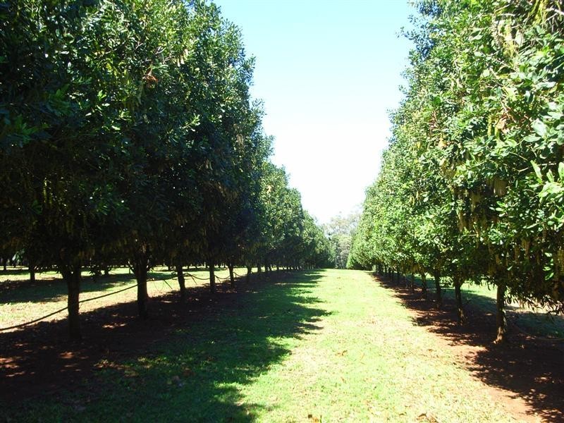 309 Neusavale Rd, Wolvi QLD 4570