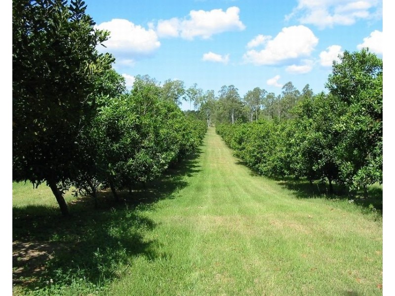 Canina QLD 4570