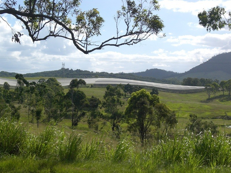 Amamoor QLD 4570