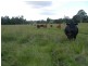 Amamoor QLD 4570