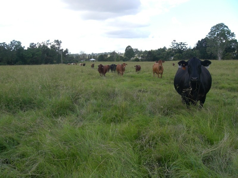 Amamoor QLD 4570