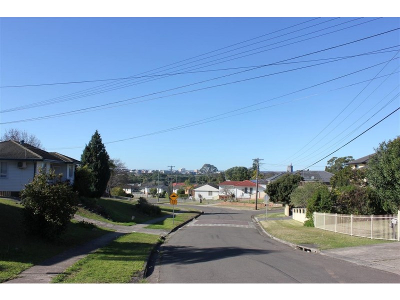 21 Wakelin Ave, Mount Pritchard NSW 2170