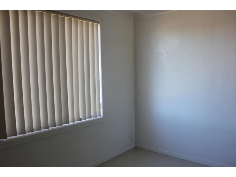 21 Wakelin Ave, Mount Pritchard NSW 2170