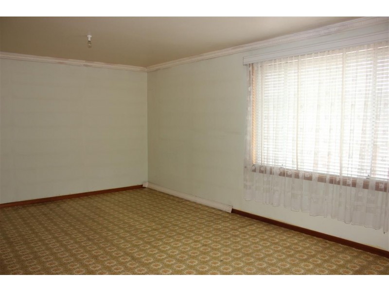 13 Albert Street, Cabramatta NSW 2166