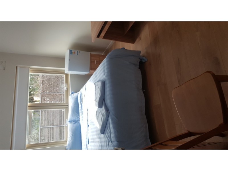 12 Barney Street, Drummoyne NSW 2047