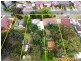 1, 3 and 5 Lasa Street, Cabramatta NSW 2166