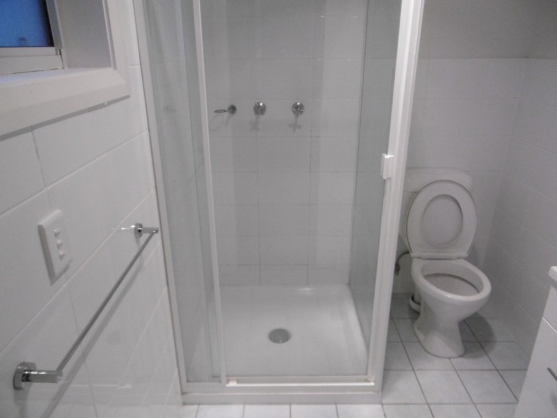 6 Bartley Street, Canley Vale NSW 2166