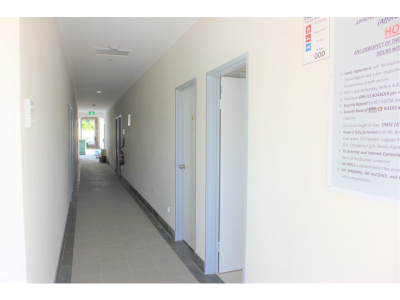 58 CURTIN ST, Cabramatta NSW 2166