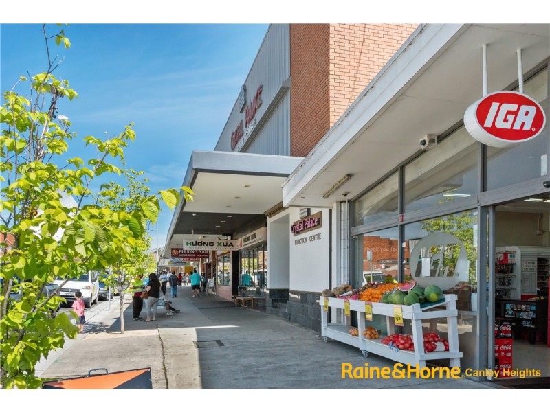 2/102 Arbutus Street, Canley Heights NSW 2166