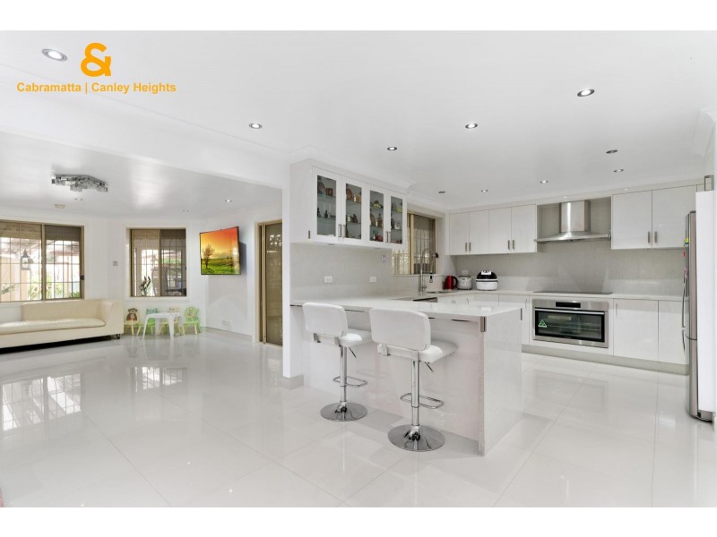 8 ALICK STREET, Cabramatta NSW 2166