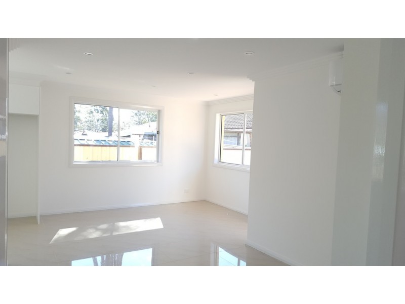 46A Crayford Cr, Mount Pritchard NSW 2170