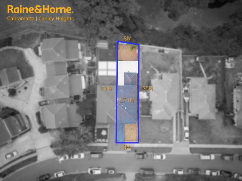 59 FREEMAN AVENUE, Canley Vale NSW 2166