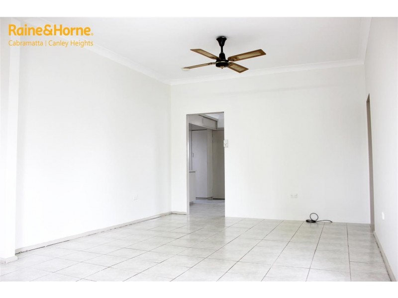 29 BUCKINGHAM ST, Canley Heights NSW 2166