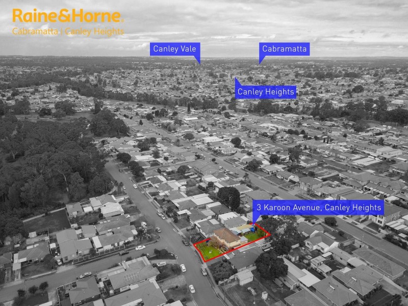 3 KAROON AVENUE, Canley Heights NSW 2166