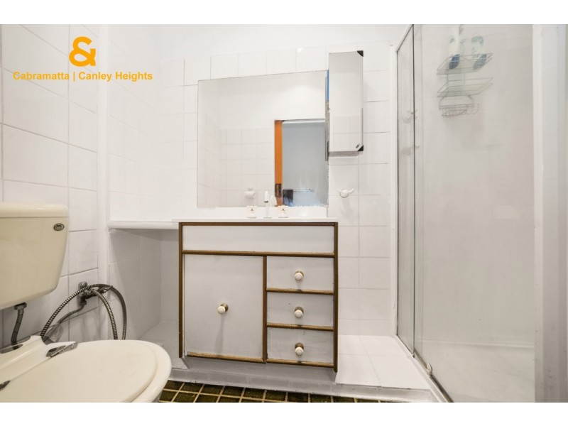 8 DAVID STREET, Mount Pritchard NSW 2170