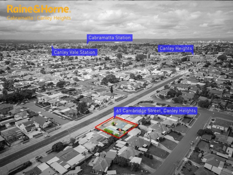 61 CAMBRIDGE STREET, Canley Heights NSW 2166