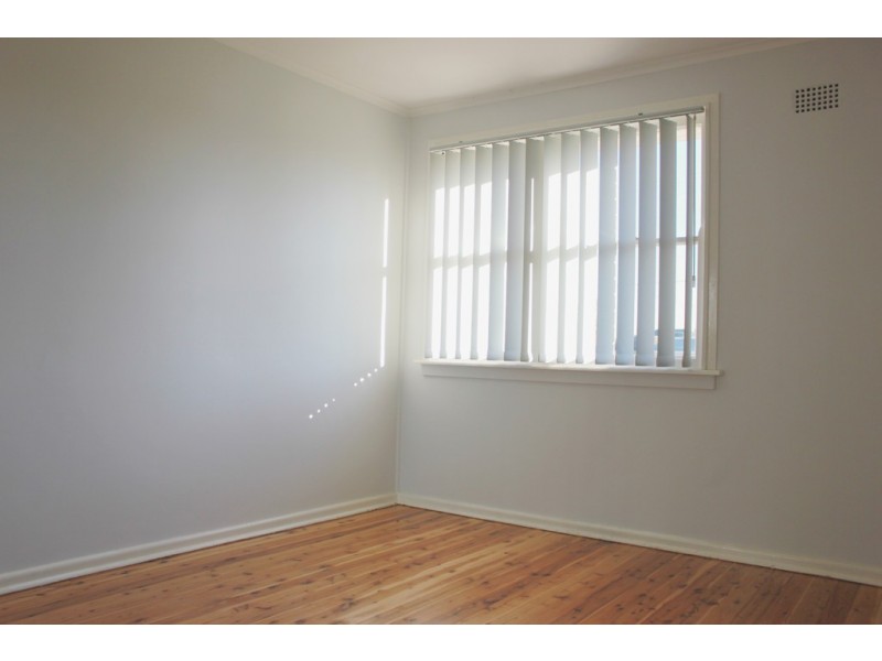 29 HATFIELD STREET, Canley Heights NSW 2166