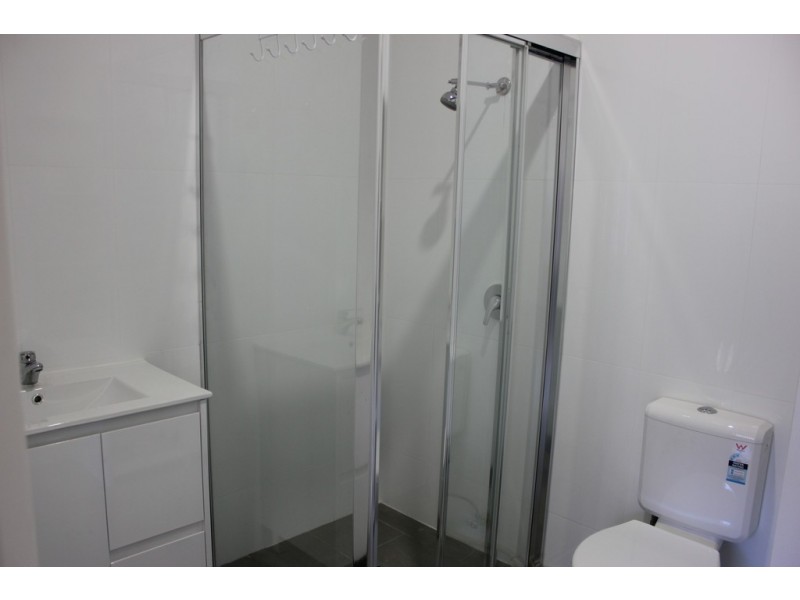 58. CURTIN ST., Cabramatta NSW 2166