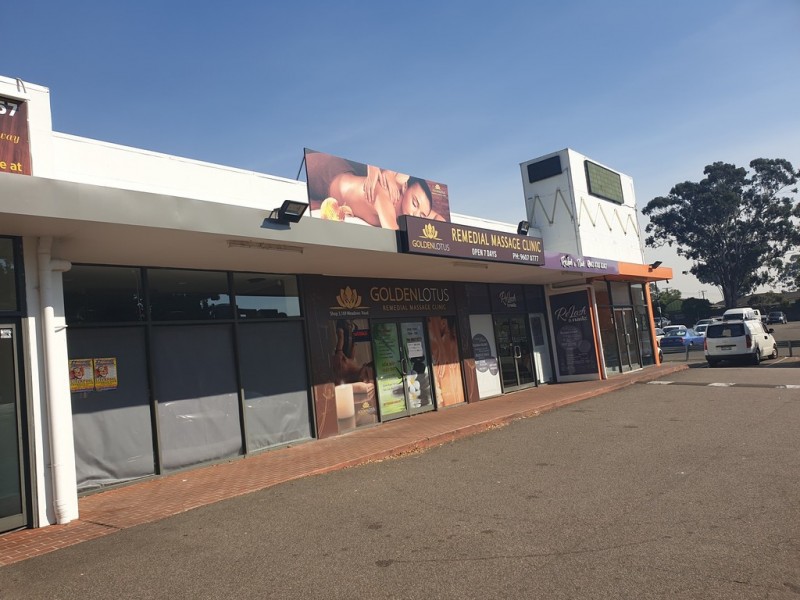 169 Meadows Rd, Mount Pritchard NSW 2170