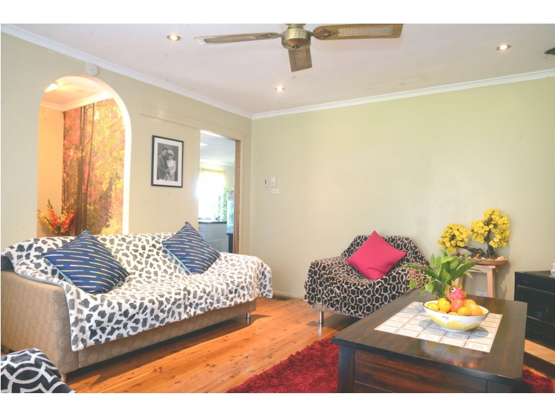 6 ALBILLO PLACE, Eschol Park NSW 2558