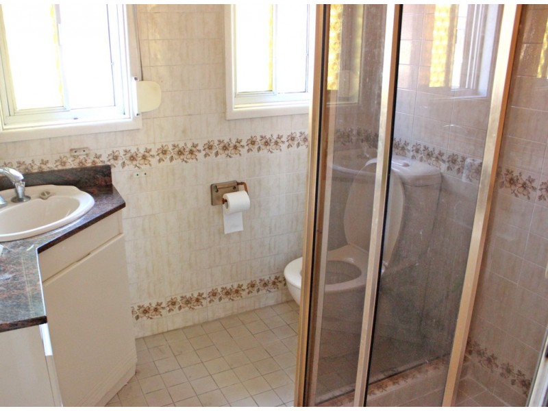 22 GIDGEE STREET, Cabramatta NSW 2166