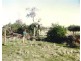 North Yalgogrin NSW 2671