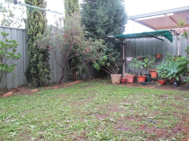 Canley Heights NSW 2166